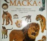 MAČKA JULIET CLUTTON - BROCK