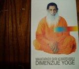 MAHATAPASVI SHRI KUMARSVAMIJI DIMENZIJE YOGE