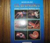 NEVEN MILIŠIĆ GLAVONOŠCI DIVNA I ČUDESNA MORSKA BIĆA