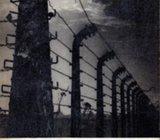 Osnovni problemi istorije koncentracionog logora u Osvencimu