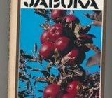 Petar Mišić Jabuka