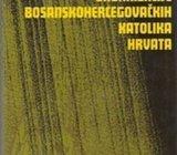 Političke organizacije bosanskohercegovačkih katolika Hrvata