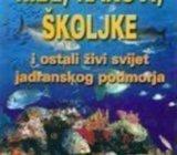 Ribe, rakovi, školjke i ostali živi svijet jadranskog podmorja