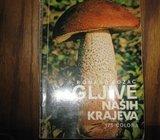 ROMANO BOŽAC GLJIVE NAŠIH KRAJEVA