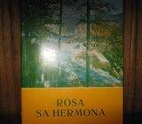 ROSA SA HERMONA