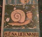 Stanislav Femenić - Puž na ljetovanju