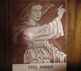 TVOJ ANĐEO