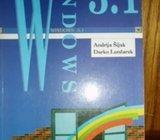 WINDOWS 3.1