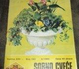 Sobno cvijeće i aranžiranje u stanu