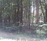 Poljoprivredno zemljište, Ugarci, 11000 m2