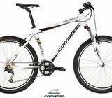 corratec x-vert motion