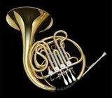 I.M.GRASSI FH210 double french horn F-BB