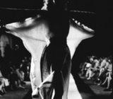 Umjetnička fotografija autor Miroslav Juhant Juha