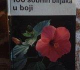 A.C.Muller 100 sobnih biljaka