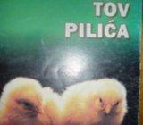 TOV PILIĆA prof. spec. Zlatan Glišić