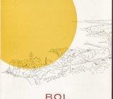 VINKO ŠESNIĆ - BOL povijesni kulturni i gospodarski prikaz