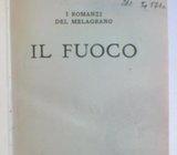 D'Annunzio IL FUOCO