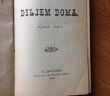 Ksaver Š. Gjalski, Diljem doma, zapisci i priče/Gjurgica Agićeva, 1.iz