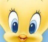 BABY LOONEY TUNES: MALI TWEETY DVD